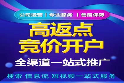 行业领先企业如何运用SEM运营推广